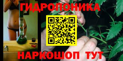 прущий лед Гусев