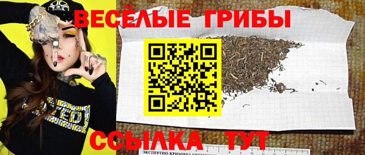 Псилоцибиновые грибы мицелий Мурманск