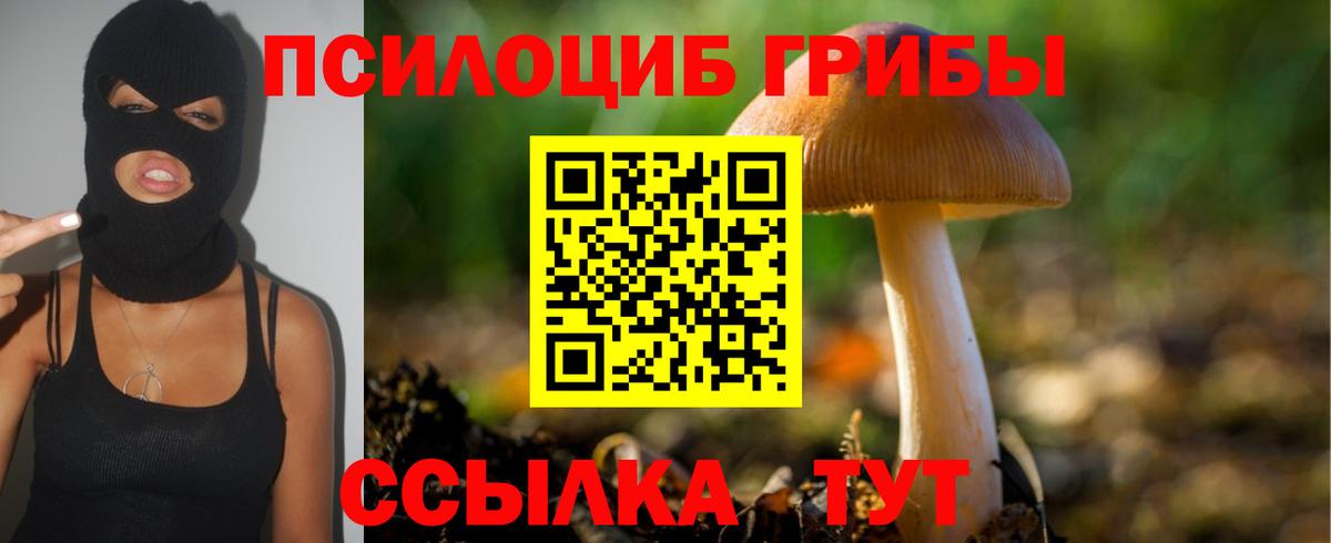 цена наркотик  Вход с VPN  Мурманск  Галлюциногенные грибы Cubensis 